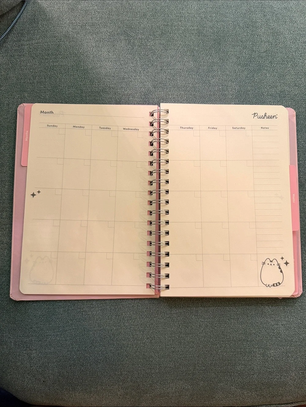 Pusheen adorable cat